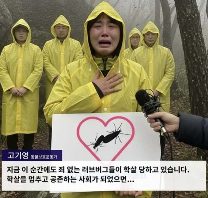 최근 러브버그 학살을 멈춰 달라는 한 동물보호운동가의 인터뷰가 SNS(소셜네트워크서비스) 상에서 화제인 가운데 이 사진은 인공지능(AI)으로 만든 가짜인 것으로 확인됐다./사진=SNS