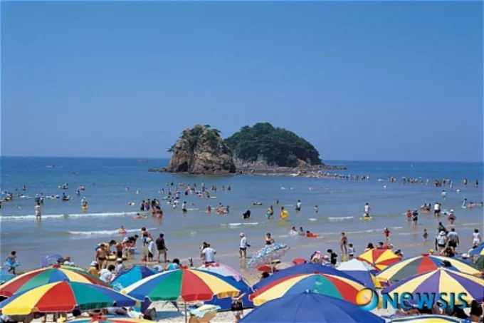 충남 태안군 안면읍 꽃지해수욕장에서 하반신만 남은 사체가 발견된 것으로 전해졌다. 사진은 꽃지해수욕장 전경. /사진=뉴시스