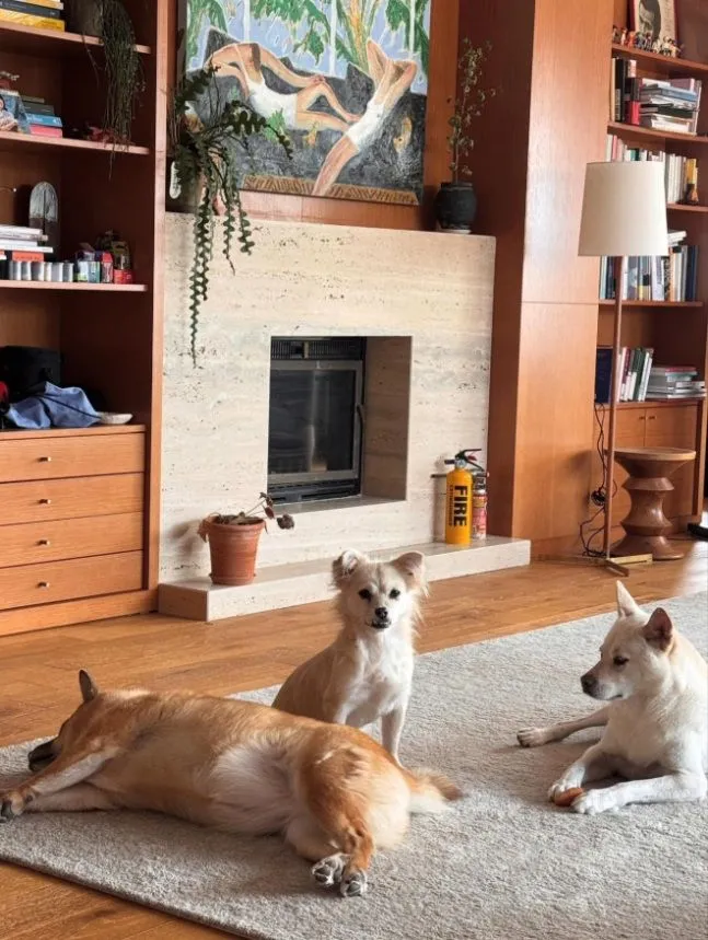 가수 이상순이 아내인 가수 이효리와 함께 사는 집을 공개했다./사진=이상순 SNS